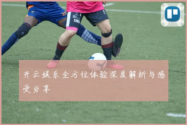 开云娱乐全方位体验深度解析与感受分享