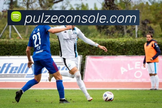 开云APP 体育赛事宣传图